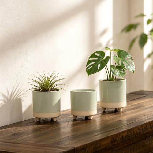 5in Two Tone Green Ceramic Footed Plant Pot, Green Pottery Container - Image 4