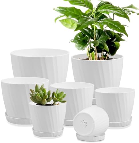 YNNICO 7 pcs Plant Pots with Drainage Holes and Saucers, Indoor Planters, Set of 7 (7.5, 7, 6.5, 6, 5.5, 4.5, 3.5 Inches), White by AFamilyofGardenLovers