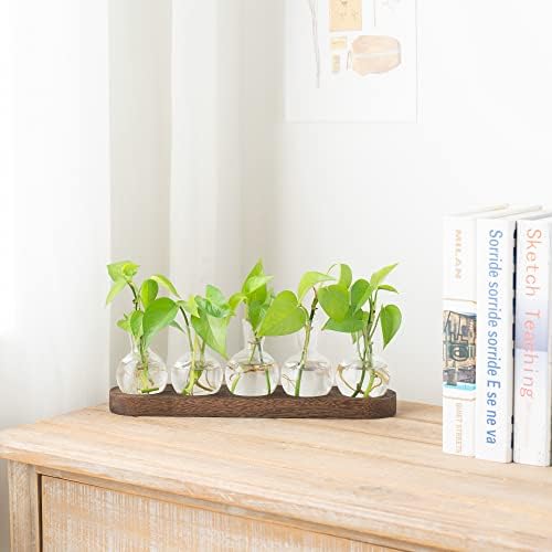 Mkono Plant Propagation Station, Desktop Glass 5 Bulb Vase Brown Wood Tray - Image 2