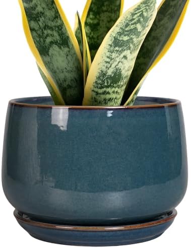 G EPGardening Ceramic Pot for Plants - Modern 7 Inch Round Planter with Drainage and Tray Indoor Outdoor for Flower, Porch Decor, Gardening Gifts, Retro Blue by GEPGardening