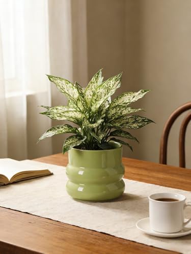Ceramic Plant Pot,6 Inch Planters for Indoor Plants,Ceramic Planter Flower Pots with Drainage Hole,Home Office Garden Décor,(Green,Inner-pots not Larger Than 5 Inch) - Image 3
