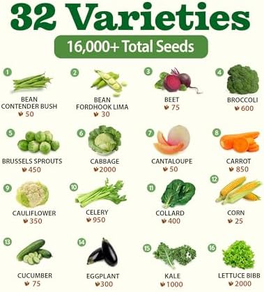 32 Heirloom Vegetable and Fruit Seeds for Planting - 16,000+ Seeds | Non-GMO Survival Seed Vault | High Germination | 32 Varieties of Vegetable Seeds for Your Home Survival Garden - Image 3