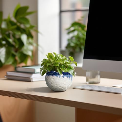 4 Inch Plant Pots, Ceramic Pots for Plants, Beige-Blue - Image 3