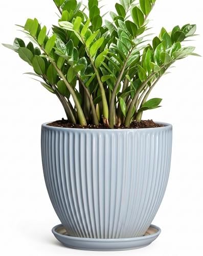 10 Inch Pots for Plants, Ceramic Plant Pots with Drainage Hole and Saucer, Modern Flower Pots for Indoor Plants, Decorative Large Planter, Entryway Decor, Gardening Gifts, Light Blue by Unknown