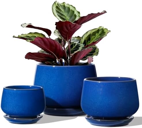 LE TAUCI Plant Pots, 4.1+5.1+6.5 inch, Set of 3, Ceramic Planters with Drainage Hole and Saucer, Indoor Flower Pot with Hole Mesh Pad, Gifts for Mom, Sapphire Blue by LETAUCI