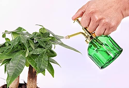 Glass Plant Mister - 6.5" Green Glass Water Spray Bottle with Gold Top Pump, Small Plant Sprayer for Indoor/Outdoor House Plants - Image 5