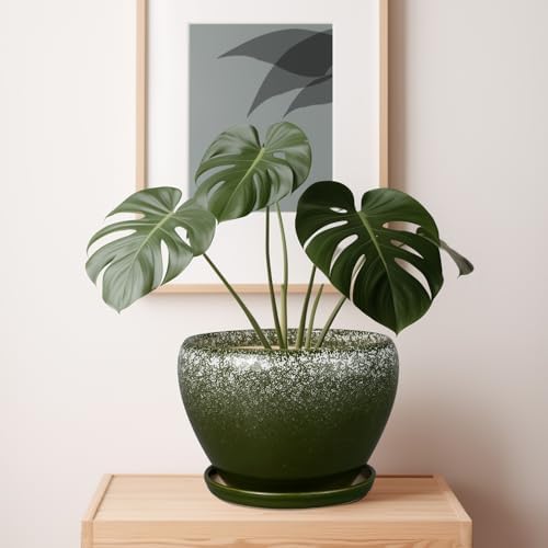 Ceramicfor 10 Inch Planter Pot, Ceramic Pots for Plants, Dark Green - Image 4