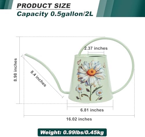 2L Long Spout Watering Can, Stainless Steel (Bellis Perennis) - Image 2