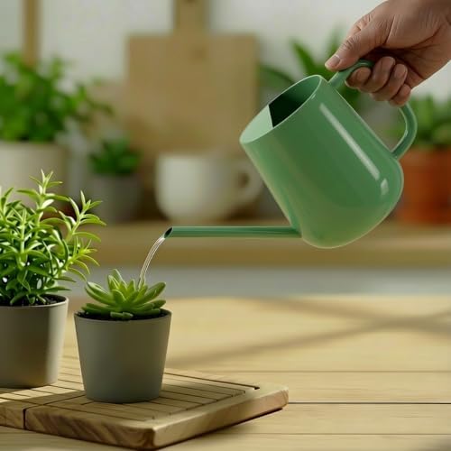 Watering Can for Indoor & Outdoor Plants, 35 oz/1000ml Watering Can with Metal Handle, Stainless Steel Garden Long Spout Watering Pot for Indoor House Plants Bonsai Flower Decorative - Image 6