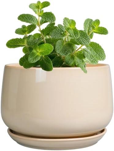G EPGardening 4 inch Plant Pots - Ceramic Planter with Drainage Hole & Saucer, Small Plant Pots for Indoor Outdoor, Round Succulent Pot, Modern Decorative Flower Pot, Desk Decor, Garden Gifts, Beige by GEPGardening