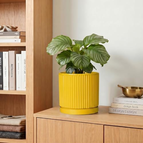 6 Inch Pots for Plants, Ceramic Planters with Saucer, Yellow - Image 7