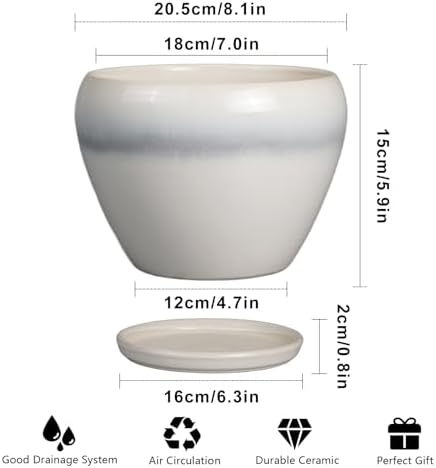 Ceramicfor Ceramic Planter - 8 Inch Plant Pot with Drainage Hole and Saucer, Glaze Round Flower Pot for Home Garden Patio Office, White - Image 3