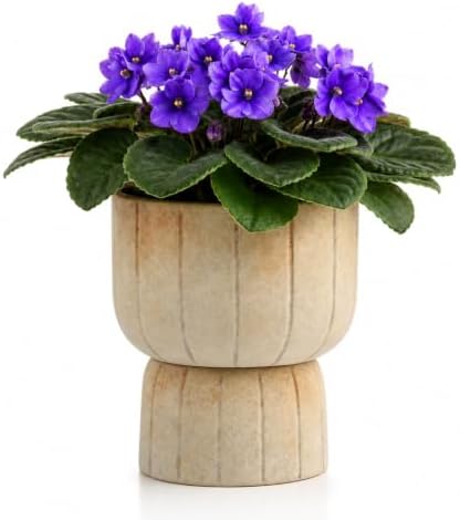 Self Watering Pots for Indoor Plants, 6 Inch Ceramic African Violet Pot by AvyraVelen
