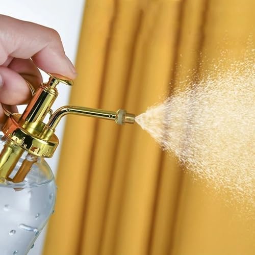 Retro Glass Plant Mister Bottle,Vintage Plant Spritzer Spray Bottle for Succulents,Indoor Watering Can with Detachable Nozzle(Gold 350ml) - Image 7