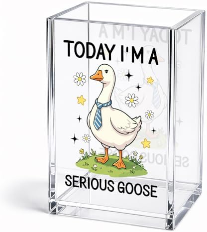 Funny Today I'm A Serious Goose Acrylic Pencil Holder Cup for Boss by Unknown