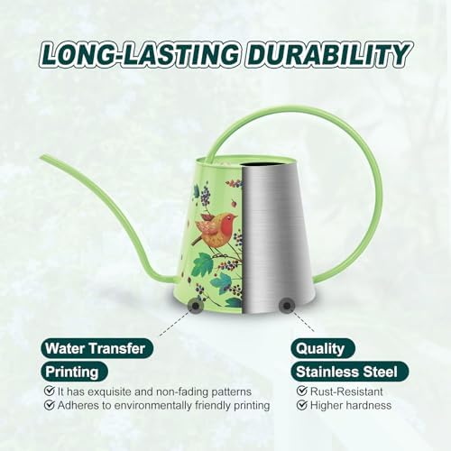 2L Long Spout Watering Can, Stainless Steel Water Can (Robin) - Image 4