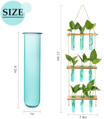 XXXFLOWER Wall Hanging Propagation Station with Wooden Stand Blue - Image 3