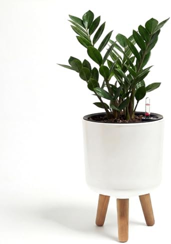 Bamworld Self Watering Pots for Indoor Plants with Water Level Indicator by Bamworld