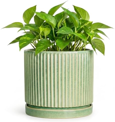 6 Inch Planter, Ceramic Plant Pots, Round Pots for Plants, Green by Unknown