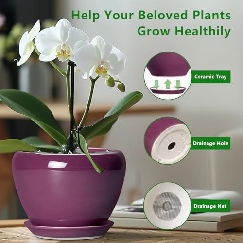 Ceramicfor 10 Inch Plant Pot - Ceramic Planter with Drainage Hole and Saucer, Round Modern Flower Pot for Indoor Outdoor Plants, Housewarming Gift, Home Garden Decor, Purple - Image 5