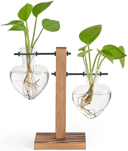 Mkono Propagation Stations,2 Heart Shaped Glass Plant Vases with Wood Stand by Mkono