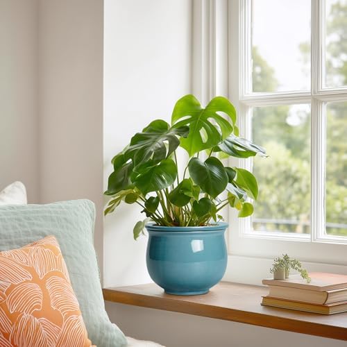 African Violet Pots 6 Inch, Ceramic Self Watering Pot with Absorbent Inner Planter, African Plant Pots for Indoor Plants, Round Flower Pot, Bedroom Decor, Gifts for Plant Lover, Glaze Blue - Image 4