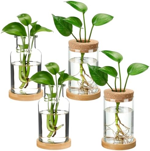 Layhit 4 Pcs Plants Propagation Stations vases Glass Planters with Wooden Lid and Bamboo Stand for Hydroponic Plants Gardening Gifts for Women Mom Home Office Tabletop Decoration(Wide Mouth Style) by ShungLan