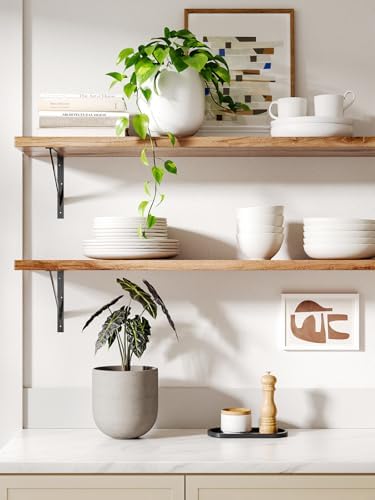 LE TAUCI 6 Inch Plant Pot, Ceramic Planter for Herbs & Small Houseplants, Tabletop Indoor Pot for Shelf, Desk and Windowsill, Small Planter with Drainage Hole & Rubber Plug, Neutral Gray - Image 2