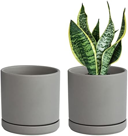 D'vine Dev 2-Pack Ceramic Pots with Saucers, Grey, 6 in, 94-V-C-3 by DvineDevPlanterPotsandStand