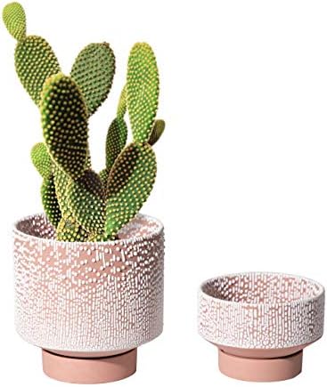 UBEE Planter Ceramic Flower Pot for Indoor Plants | 5.5 inch + 4.9 inch Plant Pot with Saucer and Drainage Hole for Aloe, Snake Plants, Pothos, Orchid, Terracotta with White Glaze Dot by Unknown