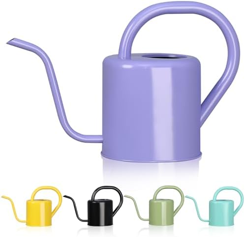 Watering Can, Stainless Steel Watering Can for Indoor & Outdoor Plants, 1L/35oz Long Spout Water Can with Handle, Rust-Proof Plant Watering Pot for House Plants, Garden Flowers by gegemaoyi