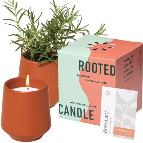 Modern Sprout Soy Candle Planter - Grows Rosemary - Cucumber Scent - 6oz by ModernSprout