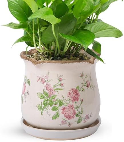 Ceramic-Planters-for-Indoor-Plants with Saucer, 6 inch Vintage Ice Crack Glaze Plant Pots with Drainage Holes, Decorative Flower Pots for Outdoor Garden Home Decor, Tuscan Pot for Plant by Xoogifae