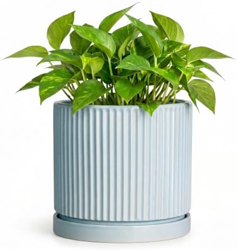 Ceramic Flower Pots, 6 Inch Planters with Saucer, Light Blue by Unknown