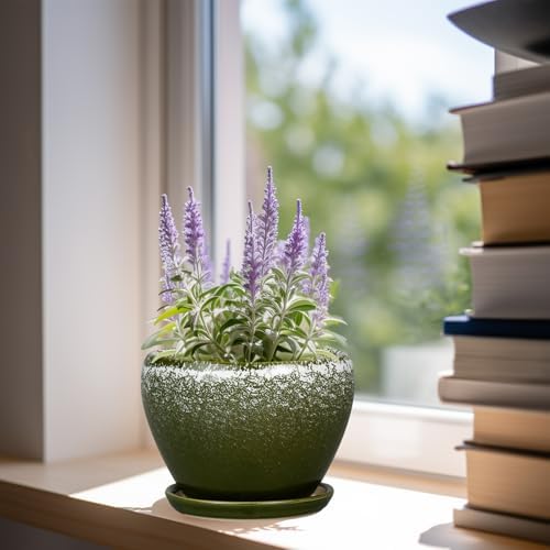 Ceramicfor 6 Inch Plant Pot - Ceramic Planter Pot with Drainage Hole and Saucer, Glaze Succulent Pot Modern Round Flower Pot for Indoor Plants, Dark Green - Image 4