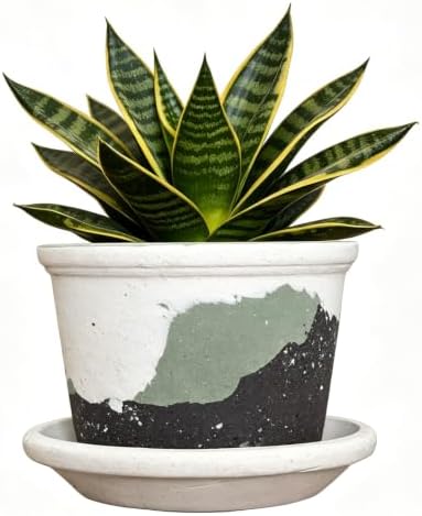 2.5 Inch Mini Ceramic Planter Pot with Drainage Hole and Saucer, Round Flower Pot for Indoor Plants, Cactus Herbs Windowsill Decor(White&Green) by DecoVlog