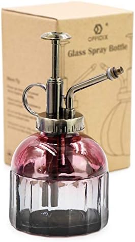 OFFIDIX Plant Mister Glass Spray Bottle for Indoor Small Plants by Offidix