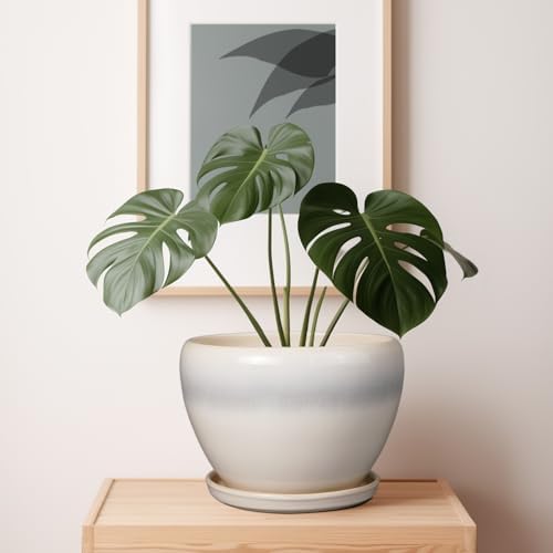 Ceramicfor 10 Inch Ceramic Planter Pot, Cream White - Image 4