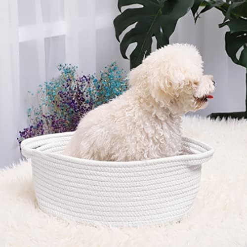ABenkle Small Basket with Handles, Boho Decorative Rope Woven Dog Cat Toy Storage Bin Shelf Storage Organizer, Easter Christmas Gift Basket, 12"x8"x5", White - Image 6