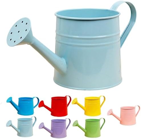 Small Watering Can, 1L Metal Flower Garden Watering Can, Gardening Tool Accessories for Outdoor Indoor Plants Lawn (Light Blue) by Unknown