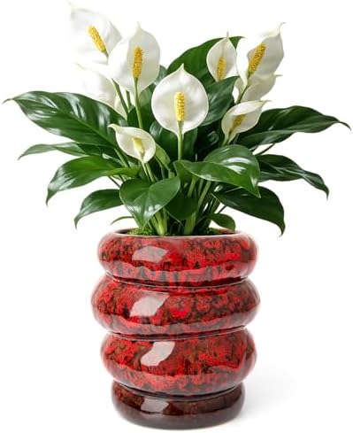 5 inch Ceramic Plant Pot Red Flower Pot for Indoor Plant with Drainage Hole by YINUOWEI