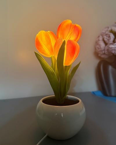 Tulip Flower Table Lamp Pink LED Desk Night Light with Vase by Unknown
