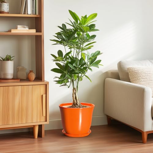 10 Inch Plant Pot - Ceramic Pots for Plants with Drainage Hole and Saucer, Round Planters for Indoor Outdoor Plants, Modern Decorative Planters, Room Home Decor, Gardening Gifts, Orange - Image 4