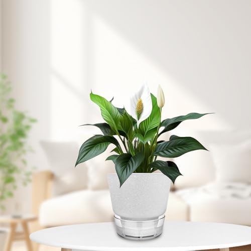 2024 Upgraded 5 Pack 6-Inch Self-Watering Planter Pots with Deep Reservoir for Indoor and Outdoor Plants with Planting Tools (Frosted White) - Image 7