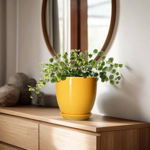Ceramic Pots for Plants - 6 Inch Plant Pot for Indoor Plants, Ceramic Planter with Drainage Hole and Saucer, Round Decorative Flower Pots, Desk Home Decor, Plant Lover Gifts, Glossy-Yellow - Image 3