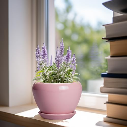 Ceramicfor 6 Inch Plant Pot - Ceramic Pot for Indoor Plants, Glaze Modern Decorative Round Ceramic Planter with Drainage Hole and Saucer, Plant Lover Gifts, Home Garden Room Office Decor, Pink - Image 2