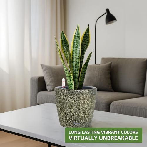 Dexceder 11x10 Self Watering Planter (Black Gold Crackle) - Image 6