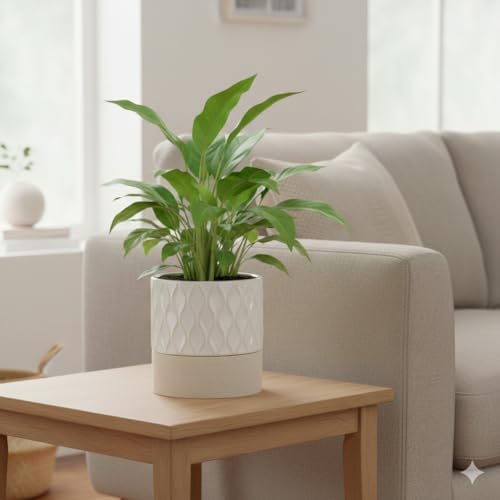 Nihow Ceramic Self Watering Plant Pot for Indoor Plants, 6 Inch,Cream White - Image 4