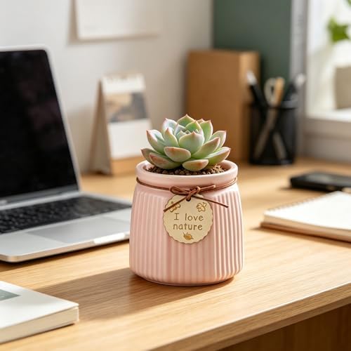 Pastel Ceramic Succulent Pots, Small Mini Flower Planter Pots with Jute Tag, Decorative Indoor Cactus Plant Container for Home Windowsill Desktop Decor (Pink) - Image 4
