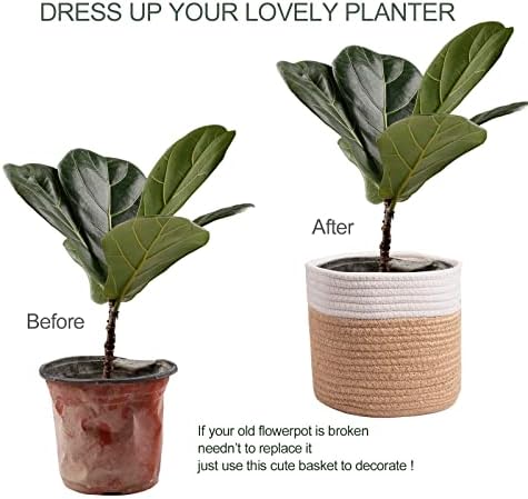 11" Cotton Rope Plant Basket Modern Woven Baskets 11"x 11" - Image 5
